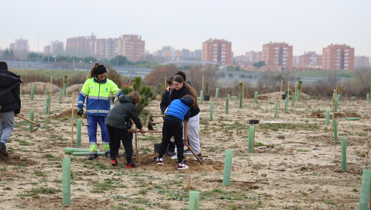 Plantacion arboles (1)