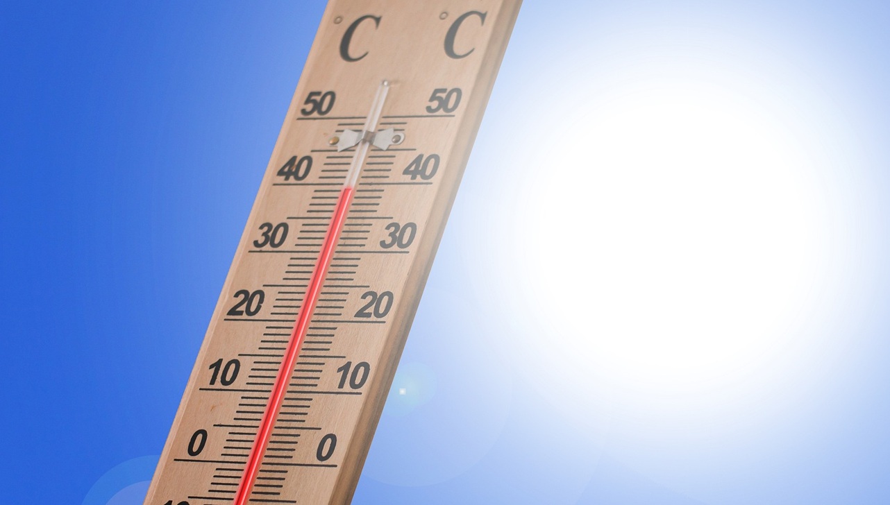 Calor